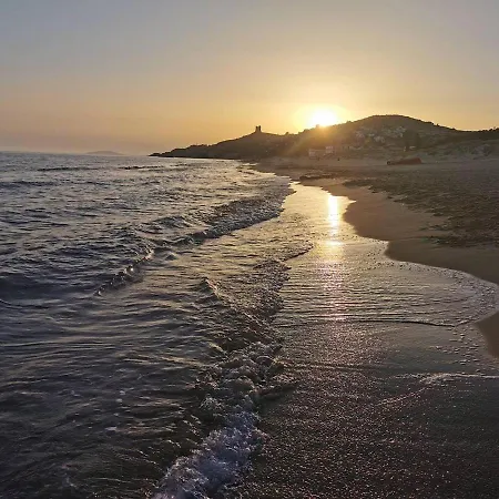 Timone D'oro דירה